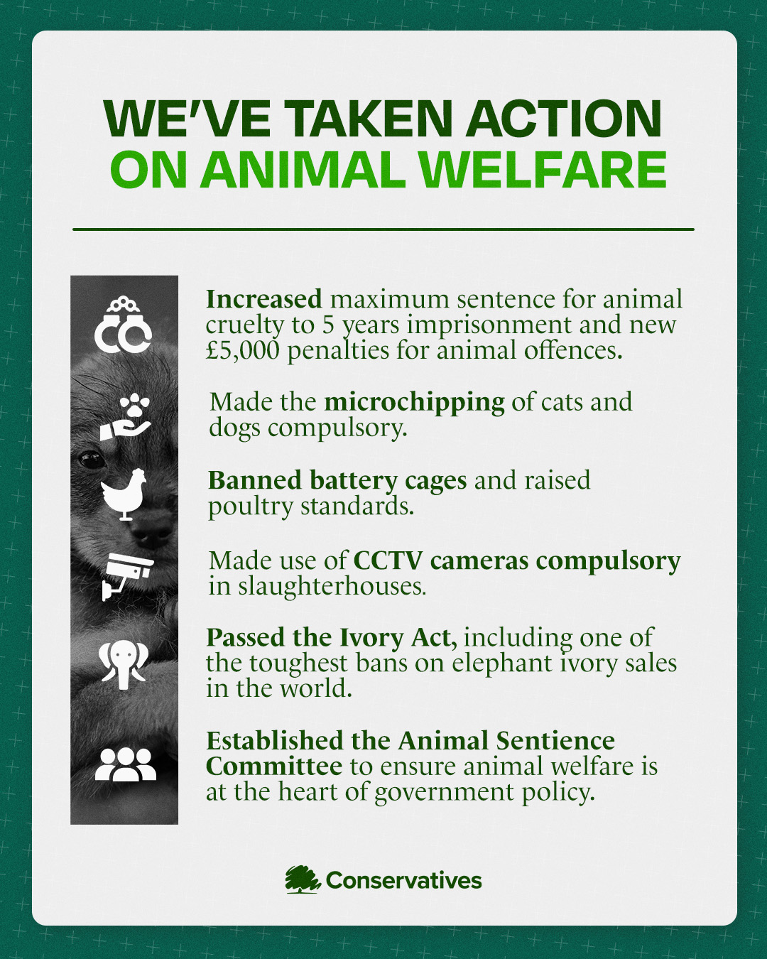 Action taken on animal welfare